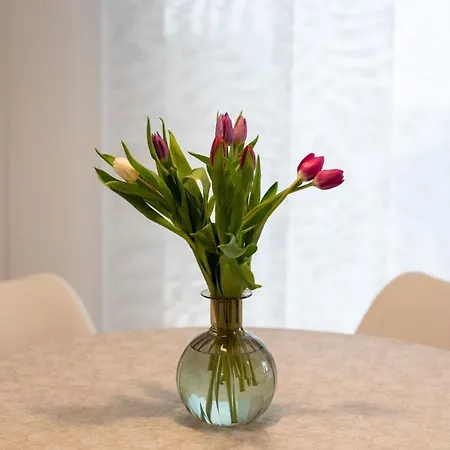 Apartmán Bellezza Trogir